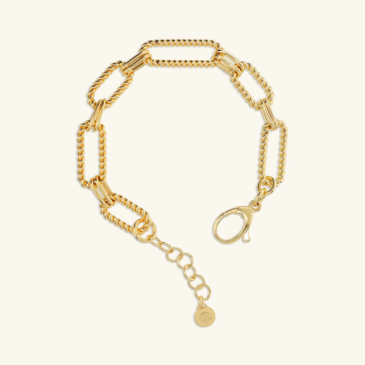 Rope Texture Oval Link Bracelet