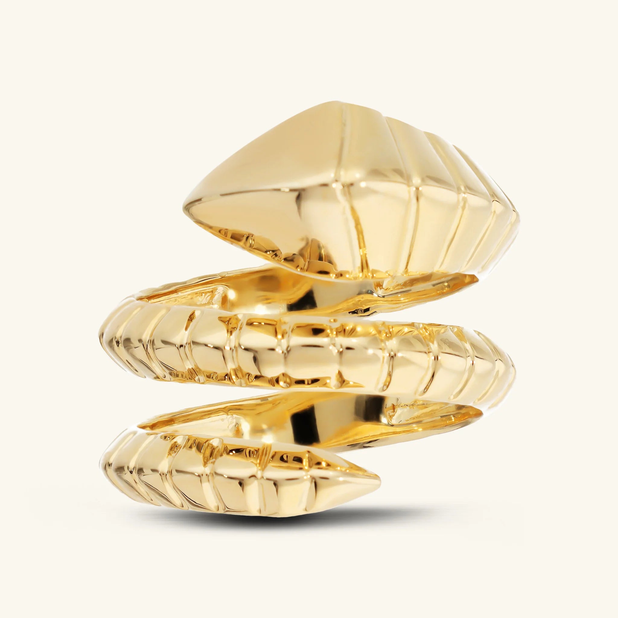 Anello a Fascia Snake