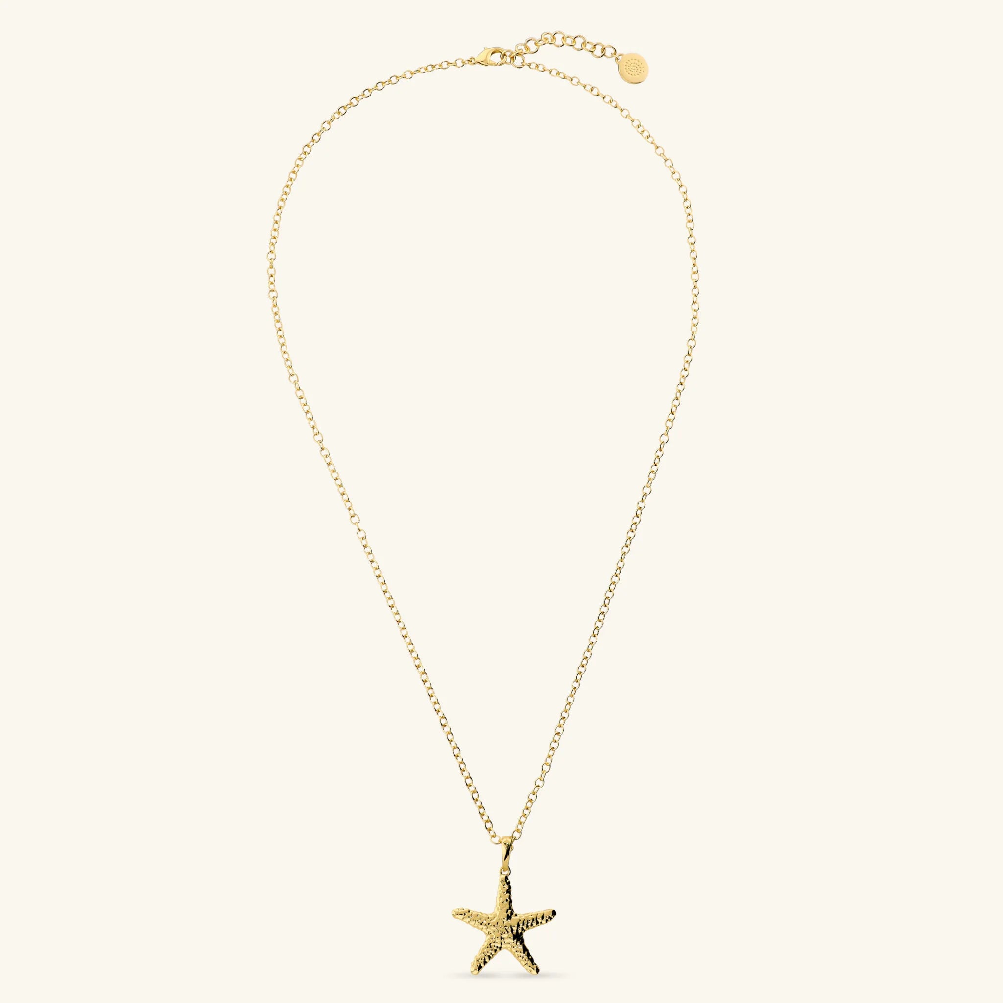 Long Nereid Necklace with Hammered Starfish Pendant