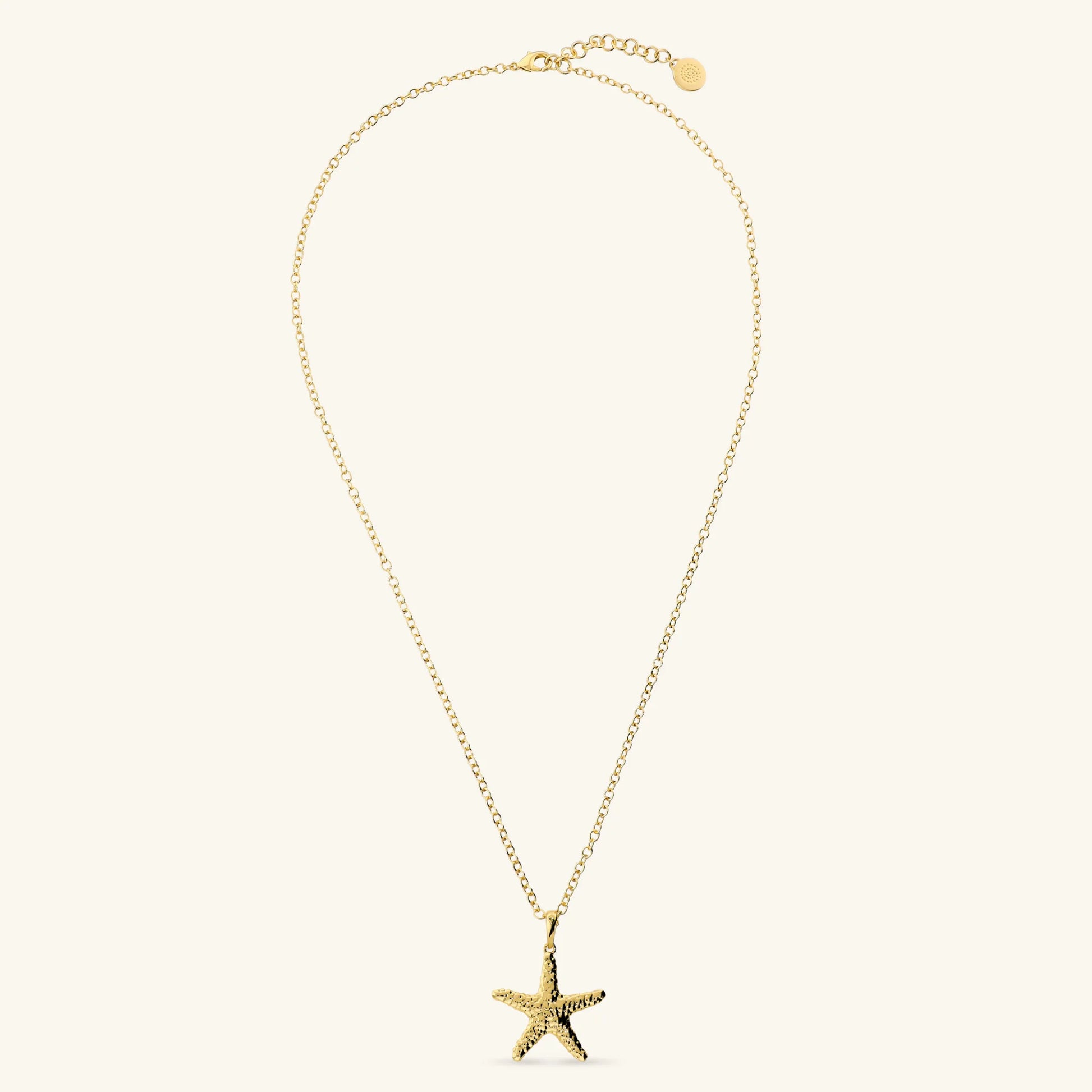 Long Nereid Necklace with Hammered Starfish Pendant