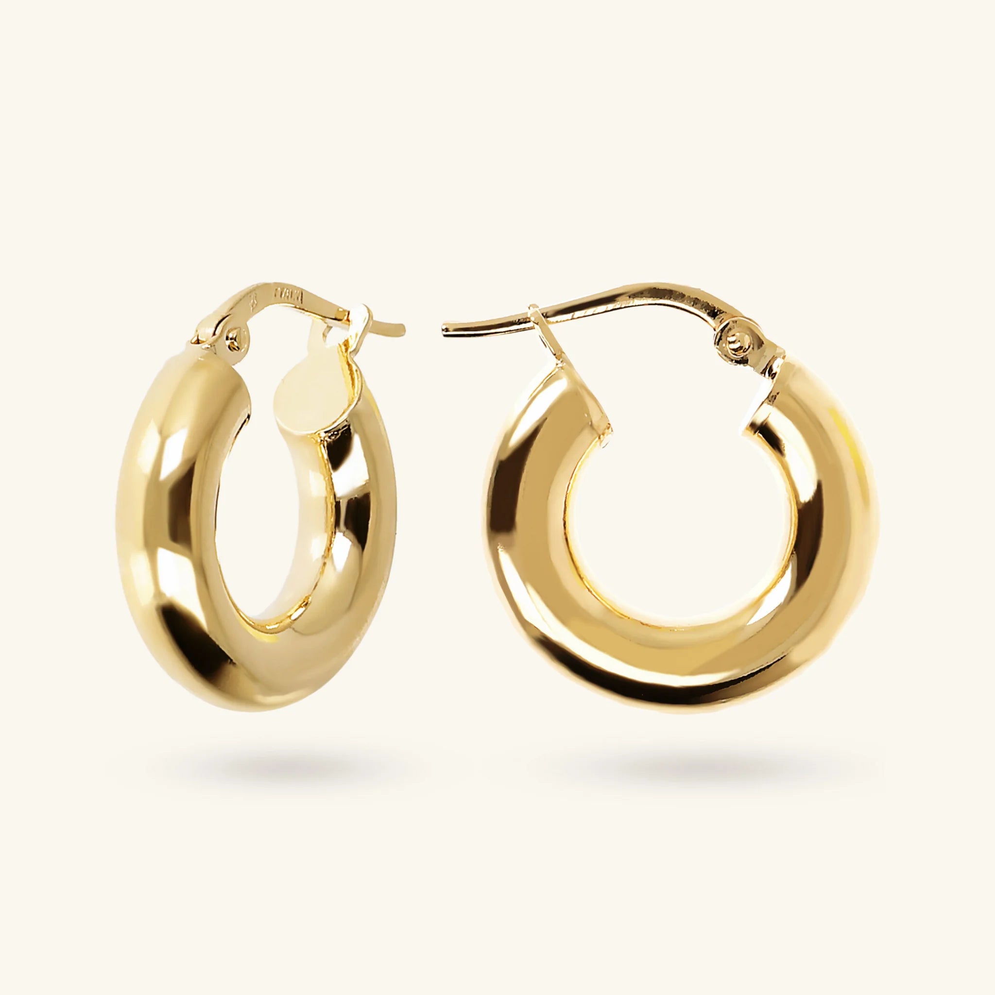 Small Hoop Earrings