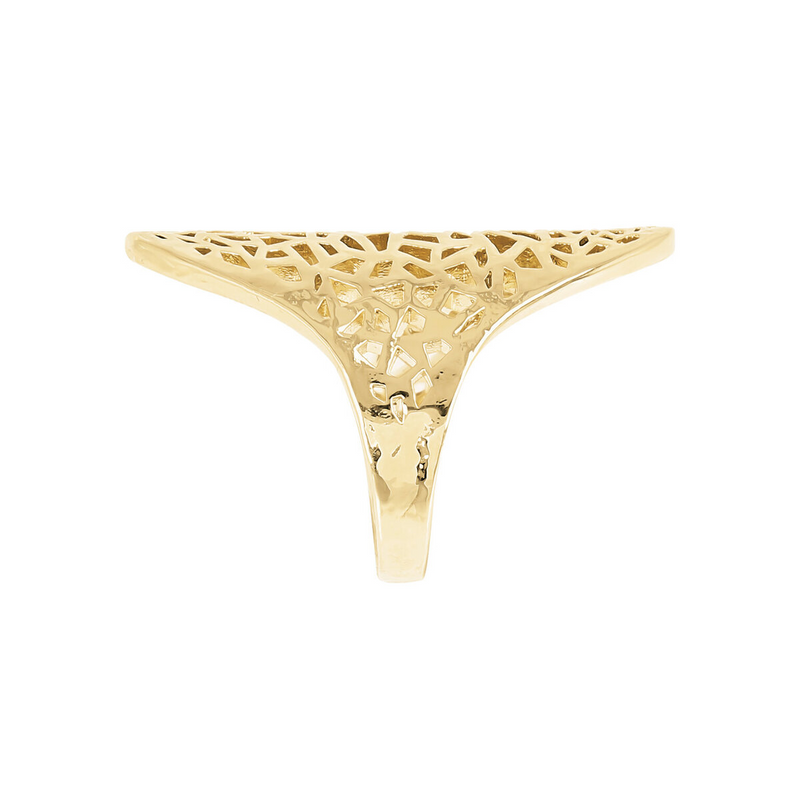 Oval Shape Perforated Chevalier Ring